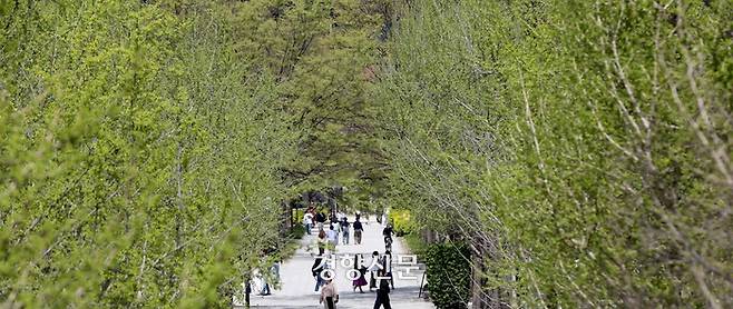 서울 성동구 서울숲에서 9일 시민들이 산책을 하고 있다. 김창길기자