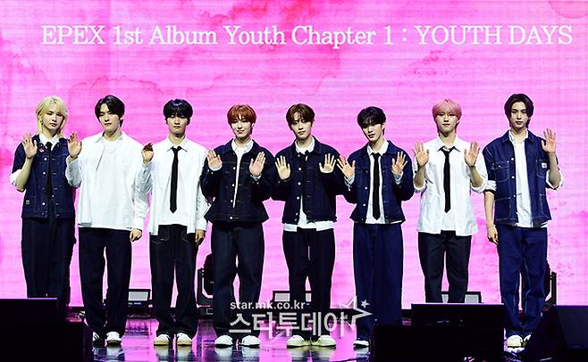 이펙스. 사진ㅣ강영국 기자