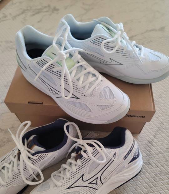 배드민턴 미즈노 신발.
