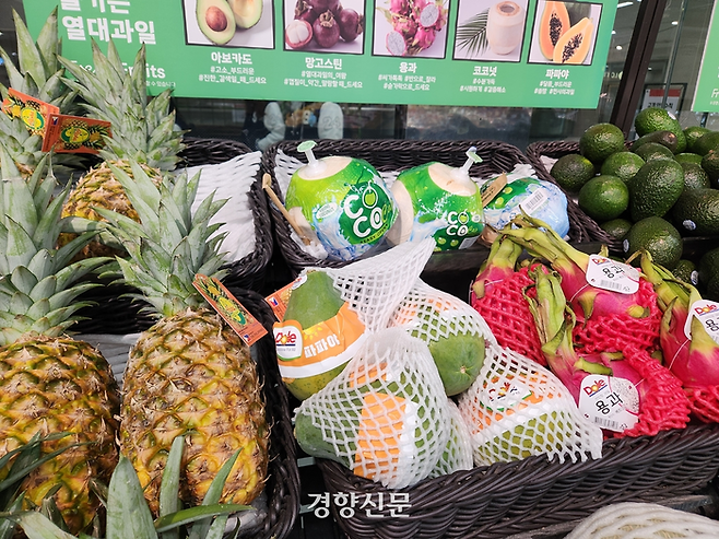 서울 동대문구 롯데마트 청량리점 과일 매대에 코코넛·파인애플·파파야 등 수입 과일이 진열돼 있다. 배시은 기자