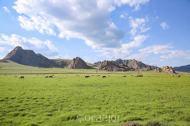 테를지 초원길2코스/사진-승우여행사