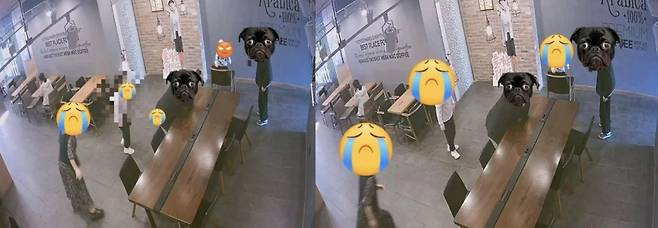 손님 일행이 카페에서 아이를 둘러싸고 사진 찍는 모습이 담긴 CCTV 장면. /자영업자 온라인 커뮤니티 '아프니까 사장이다'