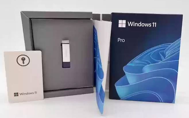 FPP 방식 윈도우에는 제품 키와 설치 USB가 모두 제공된다 (출처 : Flipkart)