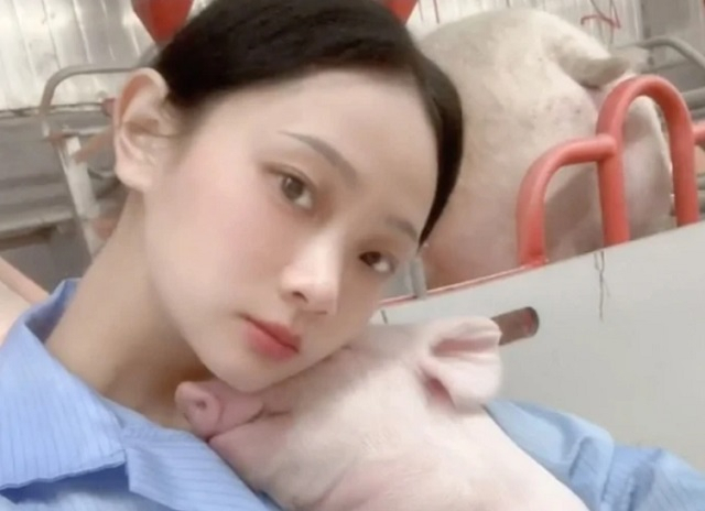 중국의 한 돼지농장에서 일하는 26세 여성 저우. [SCMP 보도화면 캡처]
