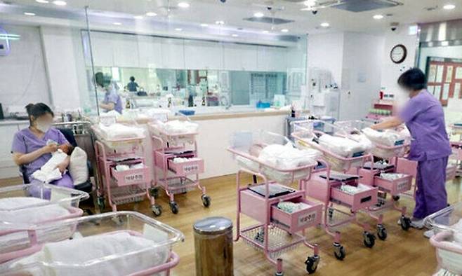 서울 시내 한 산후조리원 신생아실에서 간호사 등 관계자들이 신생아들을 돌보고 있는 모습. 연합뉴스