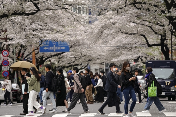 일본 도쿄에서 사람들이 만개한 벚꽃 아래를 걷고 있다. EPA 연합뉴스