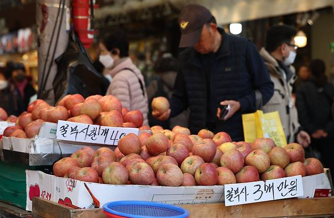 여론조사 결과 이번 총선에서 유권자의 가장 큰 투표 요인은 물가로 나타났다. 지난 3월 10일 서울의 한 재래시장에서 한 시민이 가격이 급등한 사과를 고르고 있다./연합뉴스