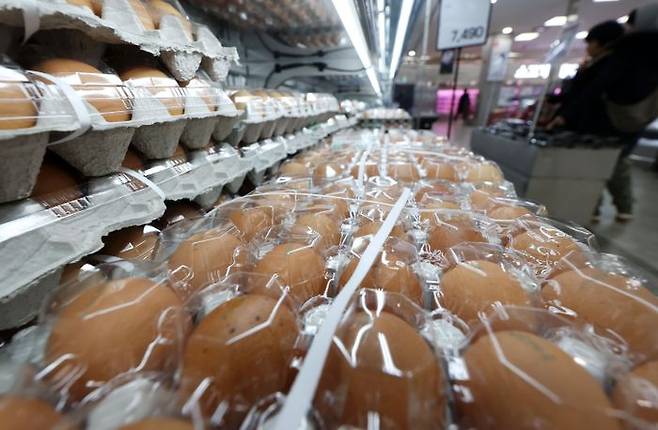 서울 시내 대형마트에 계란이 판매되고 있다. ⓒ뉴시스