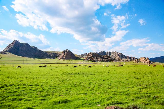 몽골 테를지국립공원 초원길 2코스 풍경. 승우여행사 제공