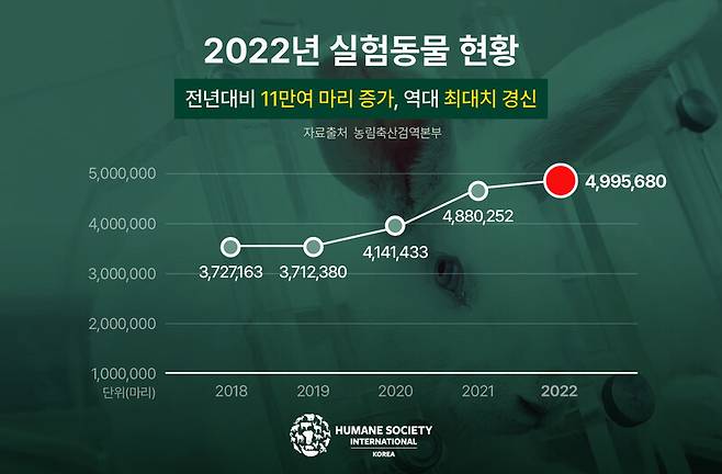 2022년 실험동물 현황. 자료 농림축산검역본부, 그래픽 한국 HSI 제공
