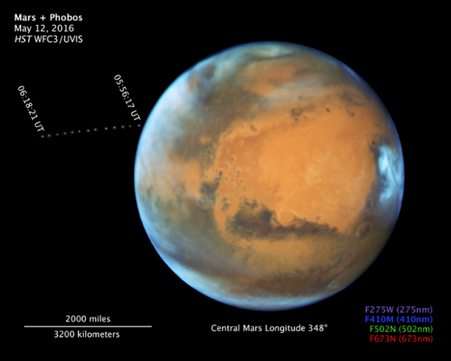 붉은 행성 화성의 모습. 허블우주망원경으로 2016년 5월 12일 찍은 것이다. 왼쪽에 보이는 작은 흰 점 여러 개는 다중 노출로 찍은 화성의 달 포보스를 나타낸다. 어둡게 보이는 지역은 운석 구덩이가 많은 산악 지역이다. 가장자리에 푸르스레 보이는 지역은 얼음이 있는 곳이다. 화성에는 외계생명체가 존재할 가능성이 매우 높다. 일론 머스크의 꿈은 화성에 사람을 보내 살게 하는 것이다. ⓒNASA/ESA