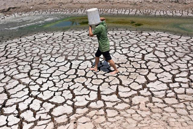지난달 19일 베트남 남부 벤쩨성에서 한 시민이 플라스틱 양동이를 모자 삼아 말라버린 연못을 지나고 있다. 지난해 기온이 섭씨 40도 안팎까지 올랐던 동남아시아 지역은 올해도 폭염과 싸우고 있다. 벤쩨=AFP 연합뉴스