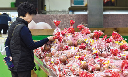 서울 하나로마트 양재점을 찾은 한 시민이 사과를 살펴보고 있다. 임세준 기자