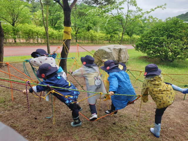 유아를 대상한 산림치유 프로그램이 운영되고 있다. 사진제공=한국산림복지진흥원