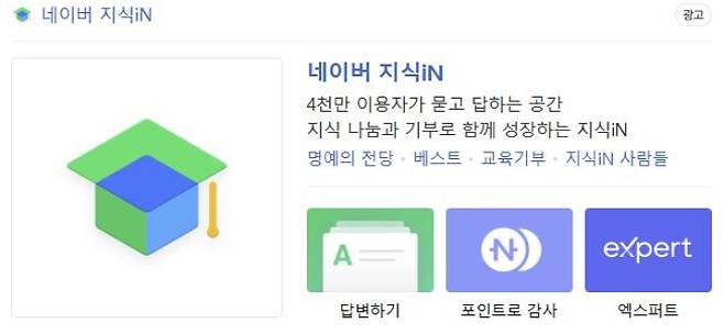 네이버 지식iN 페이지. 네이버 홈페이지 캡처