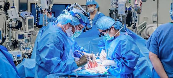 미국 뉴욕대 랭곤 병원 의료진이 유전자 조작 돼지의 신장을 사람에게 이식하고 있다. 랭곤 병원 제공