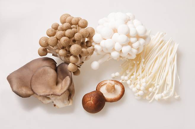버섯은 대표적인 고단백, 저칼로리 식품이다. 포만감을 주는 식이섬유가 풍부하며 비타민, 철, 아연 등 무기질도 다량 함유돼 있다. [사진= 게티이미지뱅크]