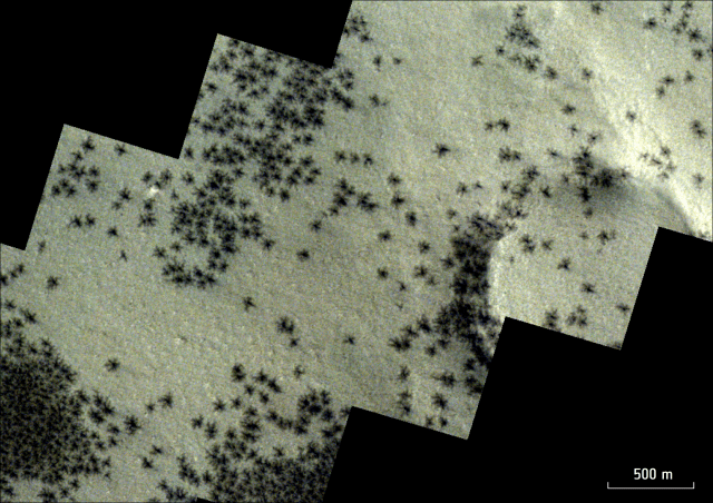 화성 남극의 잉카 시티 지역 전역에서 작고 어두운 거미 떼 모양이 관측됐다.(이미지 출처=ESA/DLR/FU 베를린)