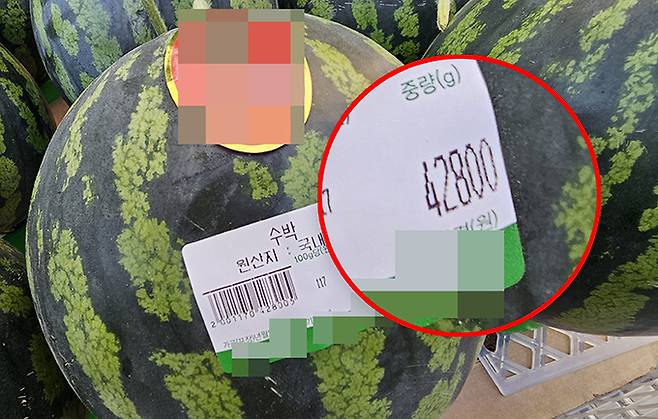 지난 2일 서울 한 마트에서 수박이 4만2800원에 판매되고 있다. 사진=김경호 기자