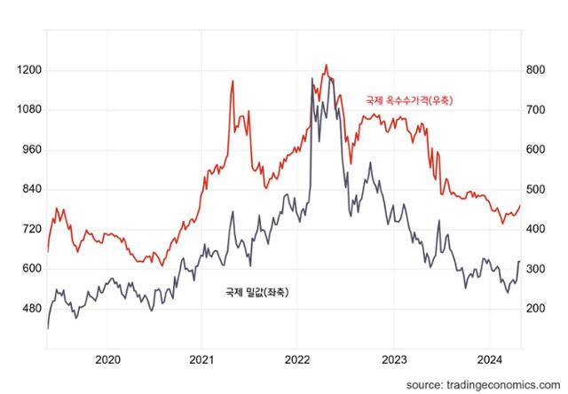 국제 밀·옥수수 가격 추이. 그래픽=강준구 기자