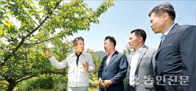 강호동 농협중앙회장(맨 왼쪽)과 임종갑 경남 하동 화개악양농협 조합장(왼쪽 세번째) 등이 3일 하동군 악양면의 매실농장을 찾아 개화기 저온피해 상황을 점검하고 있다. 하동=김병진 기자