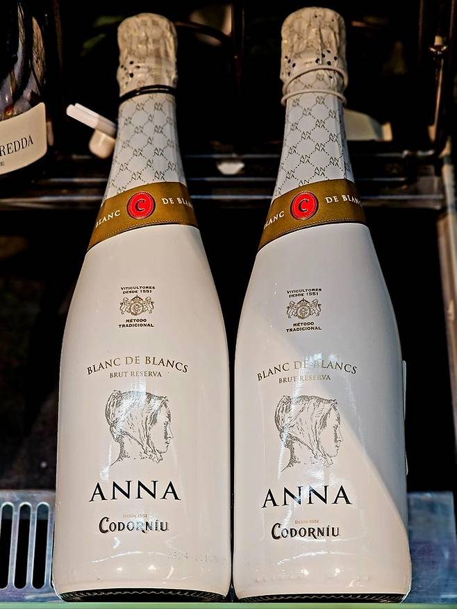 코도르뉴 안나. 최현태 기자