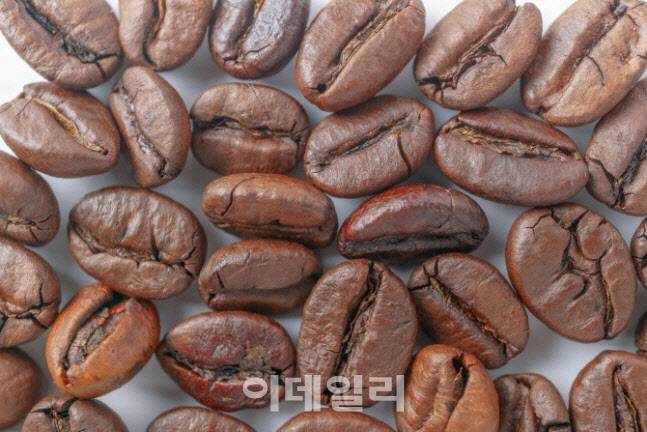 (사진=이미지투데이)
