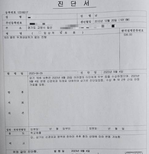 지난해 8월 일산 한 초등학교에서 발생한 11명 집단 폭행 피해 학생 진단서. /사진=독자 제공