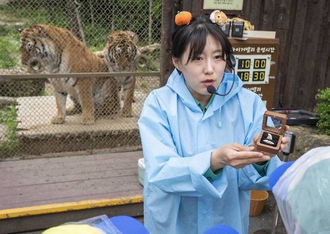 삼성 에버랜드 타이거밸리에서 사육사가 이큐브스쿨 참여 가족들에게 호랑이의 치아를 보여주며 설명해주고 있다. 사진=삼성물산 제공