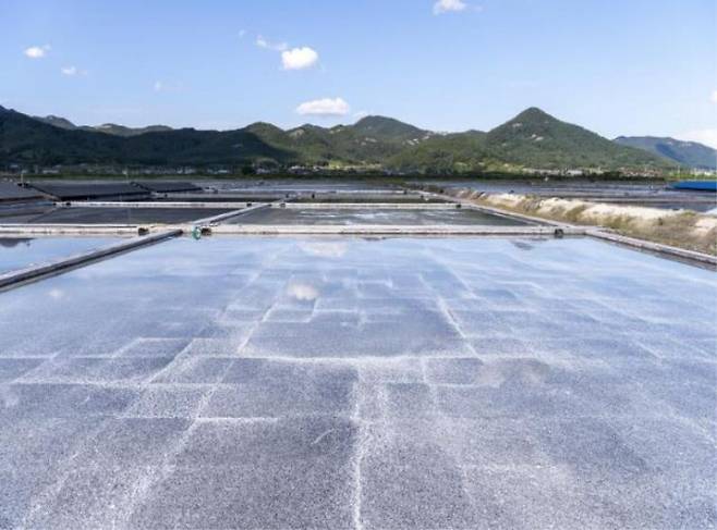 곰소의 염전. 5월에는 송홧가루가 내려앉아 노란 송화 소금이 만들어진다. 모든 지역의 말은 본래의 짠맛에 다른 맛이 더해져 달콤해진다. 해양수산부 제공