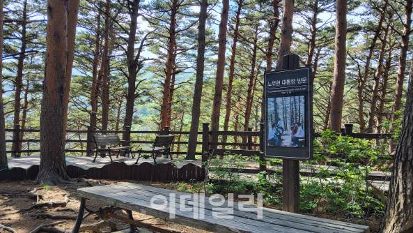 대관령 소나무숲길 전망대 인근 대통령쉼터. (사진=동부지방산림청 제공)
