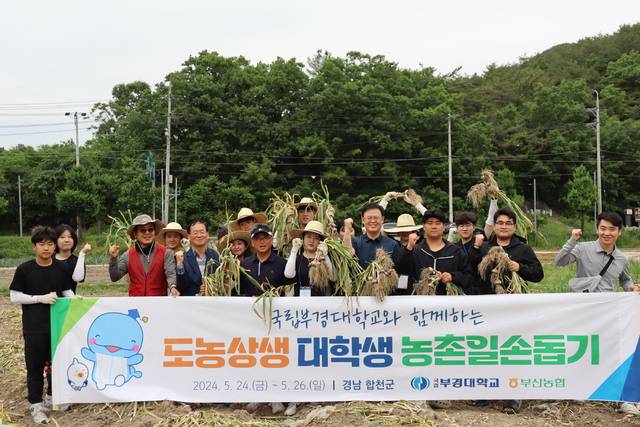 25일 경남 합천 쌍책면의 한 마늘밭에서 국립부경대학교 김민재 총학생회장(앞줄 오른쪽 세번째)을 비롯한 학생들과 정찬호 부산농협본부장(〃〃네번째), 노순현 NH농협 합천군지부장(앞줄 오른쪽 세번째부터), 노태윤 합천동부농협 조합장 등이 농번기 일손돕기에 최선을 다하자고 외치고 있다.