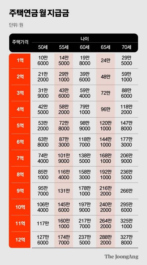 김영희 디자이너