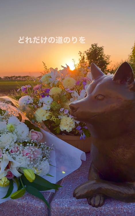 지바현에 있는 카보스 동상. 카보스를 추모하기 위한 꽃다발이 놓여져 있다.(사진출처=카보스 인스타그램)