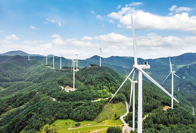 강원도 영월 풍력발전 단지의 모습. /대우건설