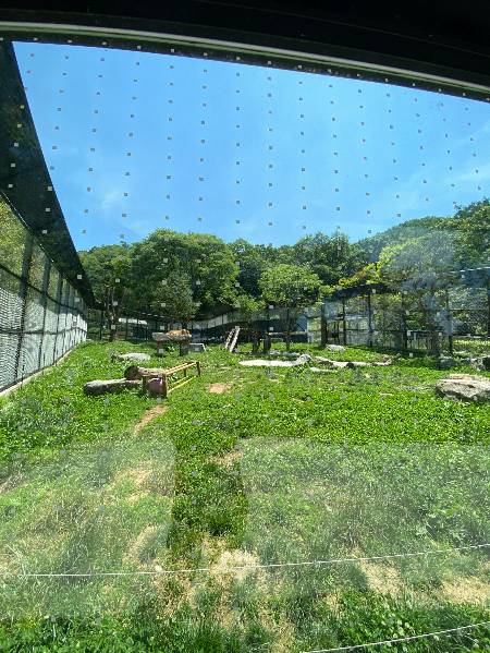 유리창에 일정 간격으로 붙어 있는 점은, 새들이 유리창에 충돌해 죽지 않도록 배려한 스티커. 유리창에 부딪혀 죽는 새가 한 해 800만 마리다. 어찌 보면 사소하게 여길 부분에서조차 마음이 다 느껴지는 것./사진=남형도 기자