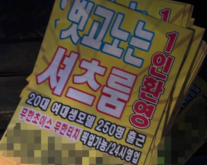 서울 강남, 서초구 일대에 뿌려진 불법 전단지. /사진=서울경찰청
