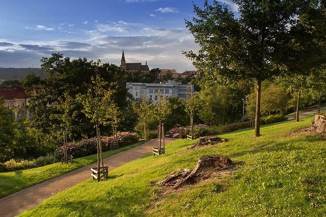 알베르토프의 스트라첸카 정원