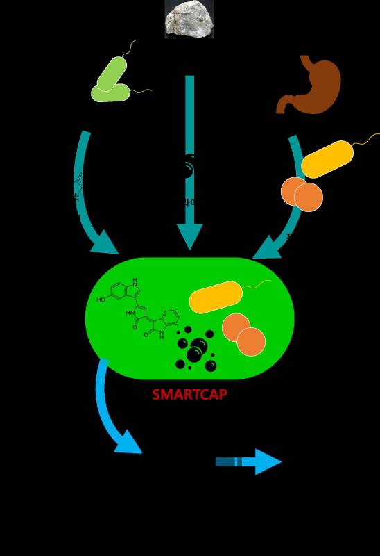 ▲온실가스 저감을 위해 개발될 스마트캡슐 개념도. ⓒ한국세라믹기술원