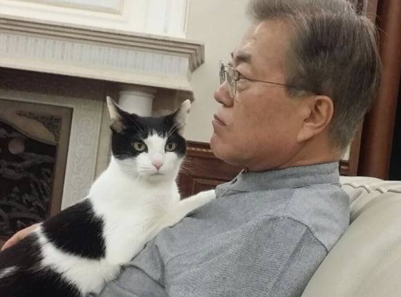 문재인 전 대통령과 반려묘 찡찡이. 문재인 전 대통령 엑스(X, 옛 트위터)