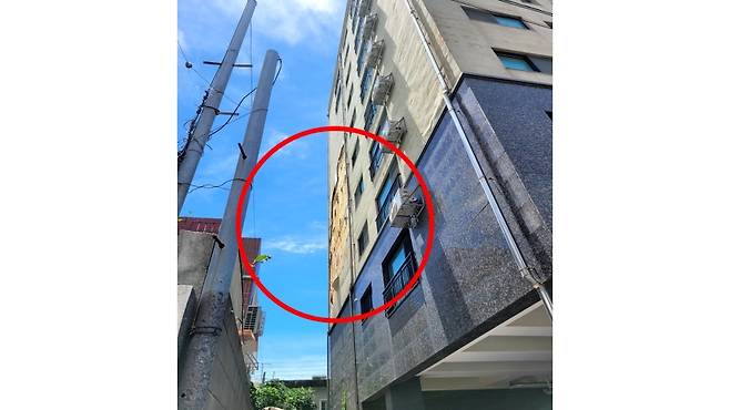 오늘(2일) 오전 11시 30분쯤 강풍에 뜯겨져 나간 제주시 일도2동의 한 건물 외벽 (사진, 제주소방안전본부)