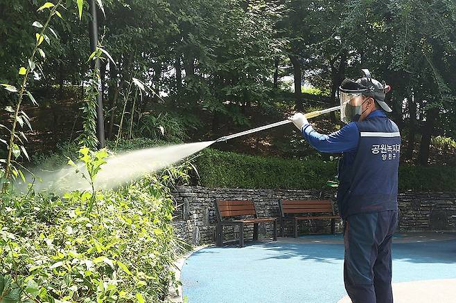 러브버그 방제작업. 연합뉴스