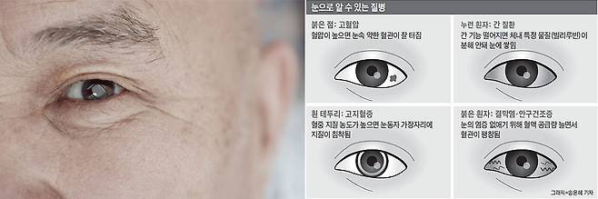 클립아트코리아, 조선일보 DB