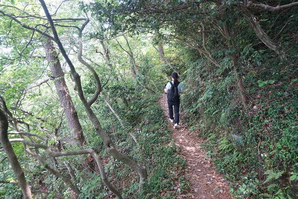 해안 근무를 서던 초병들이 걷던 오솔길.