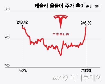 테슬라 올들어 주가 추이/그래픽=윤선정
