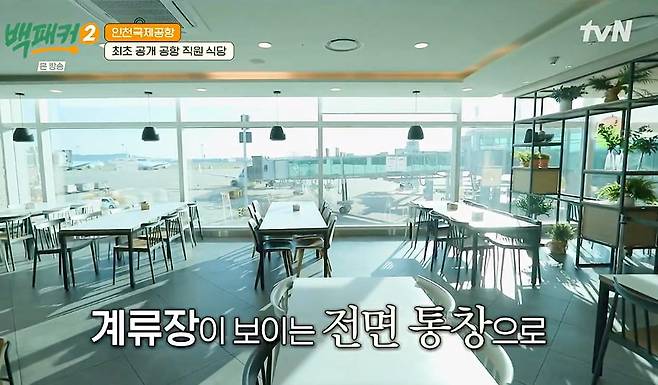 사진 = tvN '백패커2'