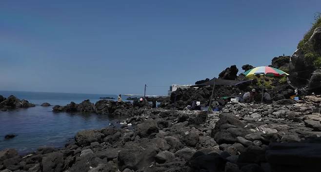 해산물을 판매하고 있는 상인들. 유튜브채널 ‘부산여자하쿠짱TV’ 영상 캡처