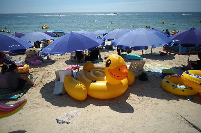 사진은 기사와 직접적인 연관 없음. /사진= 플리커