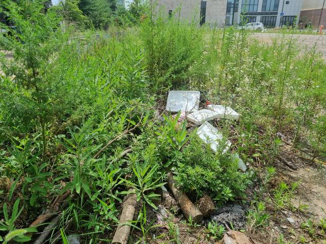 19일 오전 11시께 인천 남동구 해오름호수공원 인근 빈 땅. 관리를 하지 않아 풀이 자라나고 공사 자재는 물론 쓰레기가 쌓여있다. 정성식기자