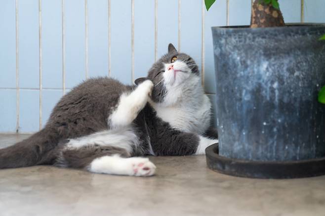 사진=게티이미지뱅크